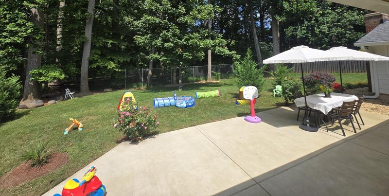 Photo of Haregeweyin Bachmann - Silver Spring, MD