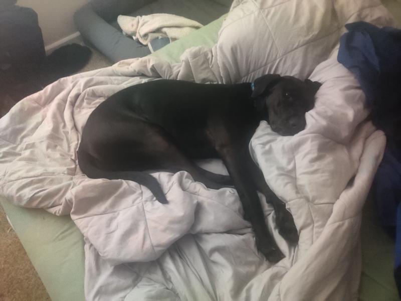 Photo of Lauren W. - North Bend, WA