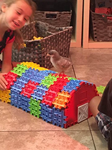 Photo of Ms,Rhondas Daycare - Harbor City, CA