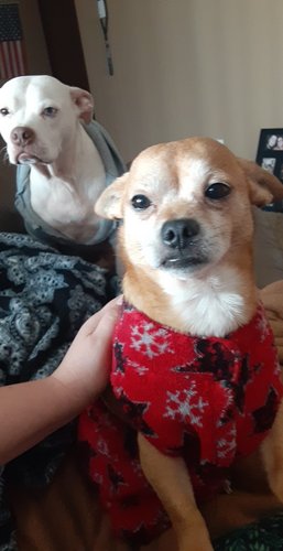 Photo of Brandi S. - Longview, WA