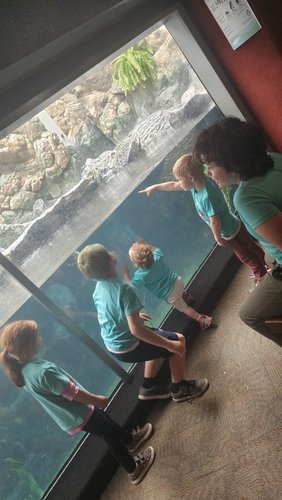 Photo of Strong Beginnings Child Care - Fountain, CO