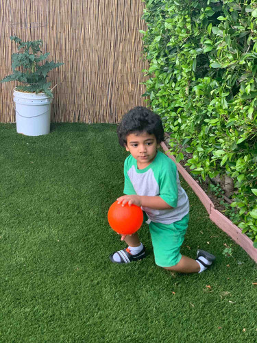 Photo of Tree House Child Care Daycare - Glendale, CA