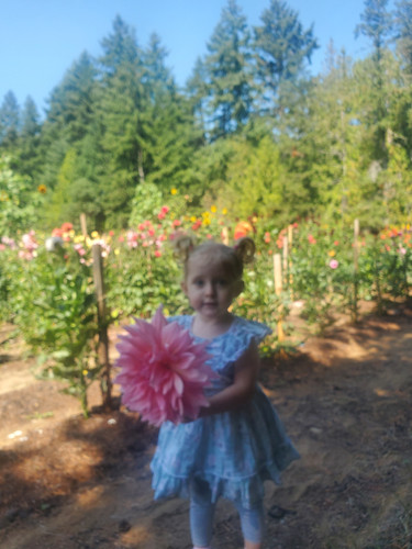 Photo of Madelyn B. - Daytona Beach, FL