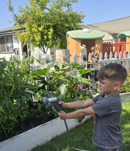Photo of Little Birdies Daycare - Chula Vista, CA