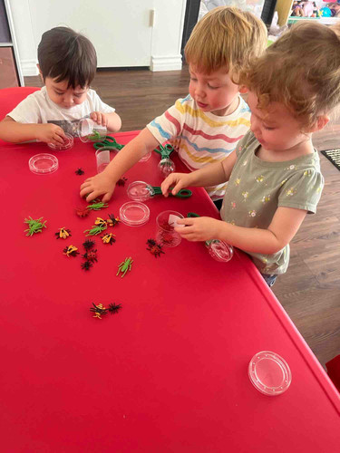 Photo of BLS Bright Little Souls Daycare - San Diego, CA