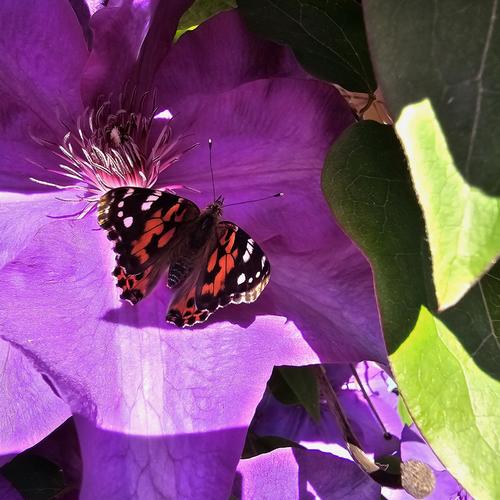 Photo of Brenda Cox's Child Care - West Linn, OR