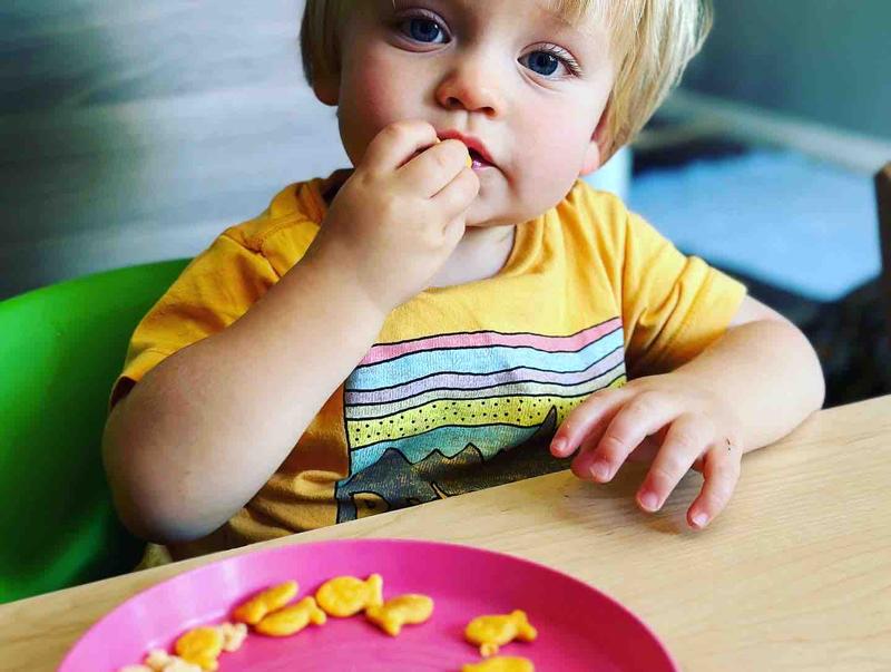 Photo of Tree House Child Care Daycare - Glendale, CA