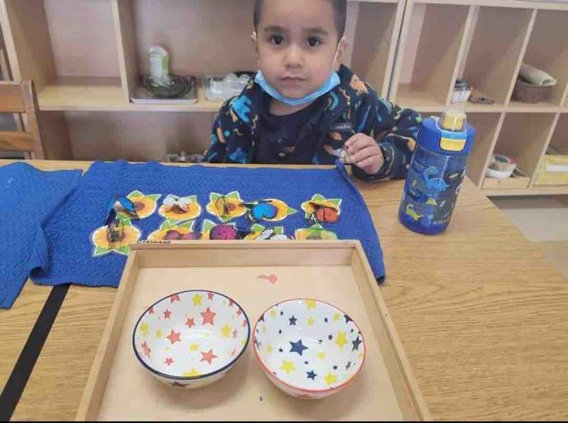 Photo of Keystone Montessori Preschool - Whittier, CA