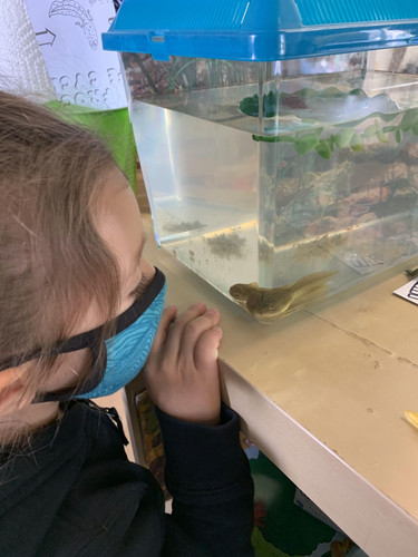 Photo of Busy Bees Child Development Center - Chula Vista, CA