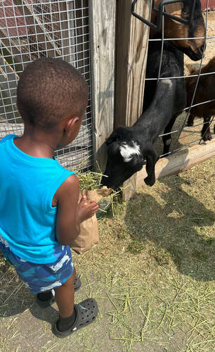 Photo of Educated Adventures LLC Daycare - North Chicago, IL