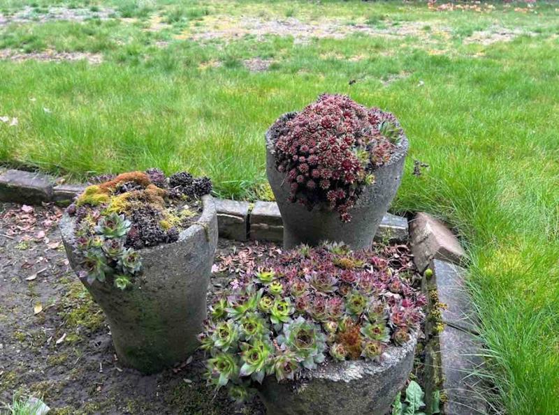 Photo of Welcome Caring Home Child Care - Auburn, WA