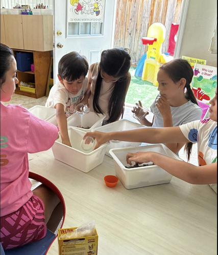 Photo of Bright Little Steps Learning