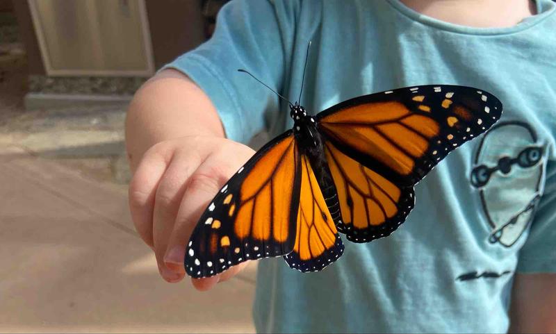 Photo of Jardin De Niños Corazon - San Diego, CA