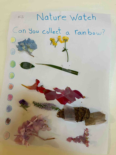 Photo of Stellar Growth - Sammamish, WA