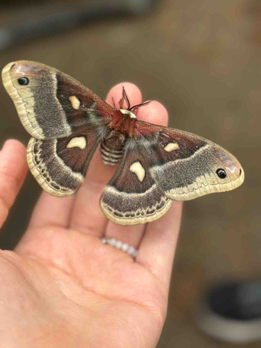 Photo of Growing Wild Daycare - Tenstrike, MN