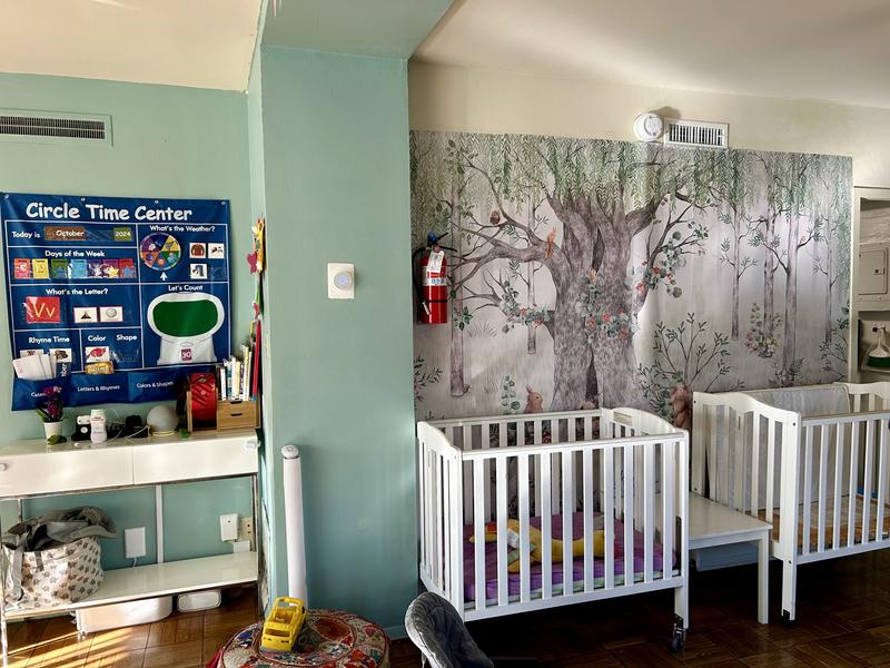 Photo of Little Sunshines Early Learning Center - Los Angeles, CA