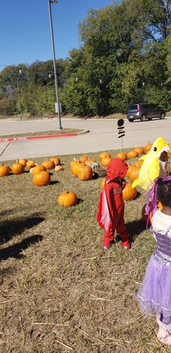 Photo of Ms Bee's  Kidz Pl - Grand Prairie, TX