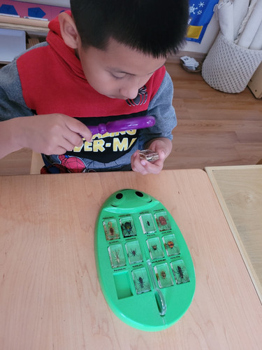 Photo of Inspired Montessori Family Child Care - Los Angeles, CA