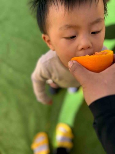 Photo of Tree House Child Care Daycare - Glendale, CA