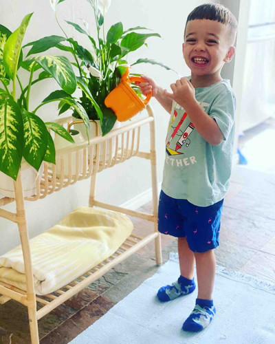 Photo of Tree House Child Care Daycare - Glendale, CA