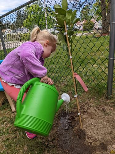 Photo of Nissrine Family Childcare - Walpole   Reopened, MA