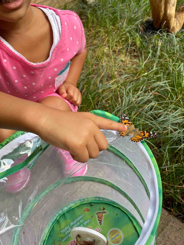 Photo of Little Monarchs Child Care - Fort Worth, TX