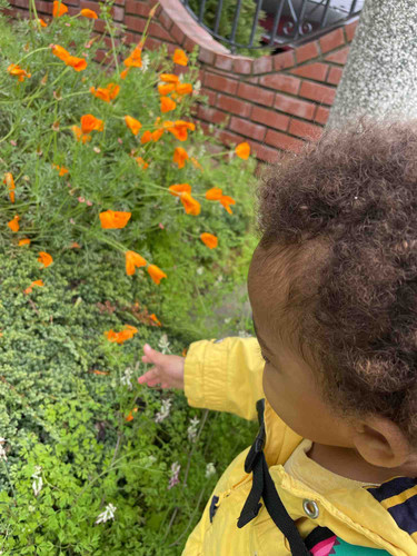 Photo of Leaping Learners Preschool - San Francisco, CA