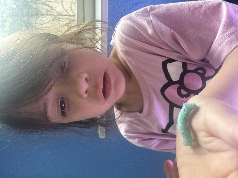 Photo of Silly Little Genius Daycare - Fullerton, CA