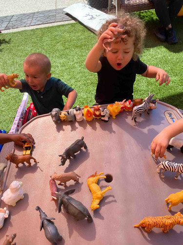 Photo of The Learning Forest Academy Daycare - Concord, CA