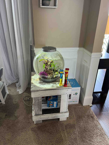 Photo of Johnson, Trecia N Daycare - Augusta, GA