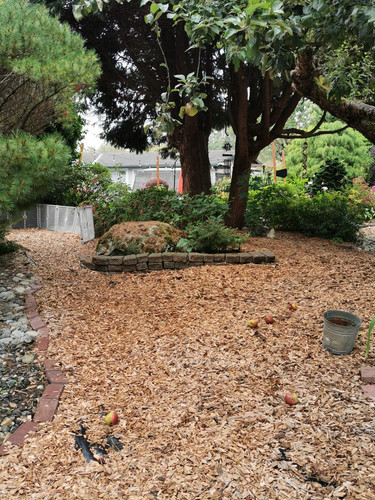 Photo of Bunny Hop Academy - Marysville, WA