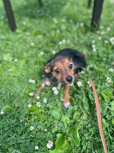 Photo of Allie’s Angels Daycare