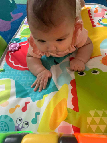 Photo of Itty Bitty Academy - Houston, TX