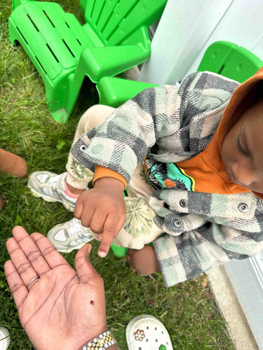 Photo of Terry Adventure World Llc Daycare - Brooklyn, NY