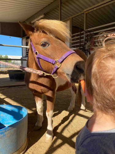 Photo of Sandyland Kids Daycare - Corona, CA