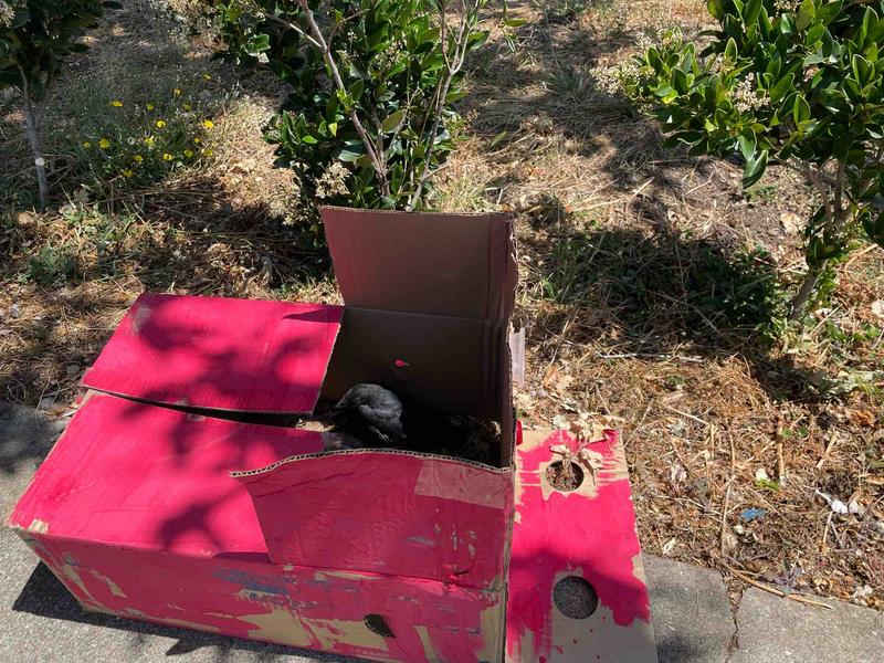 Photo of Heffalump Preschool /Daycare - Palo Alto, CA