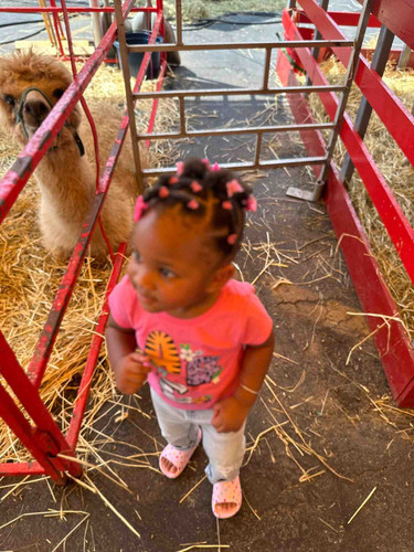 Photo of Phoenix Playhouse - Newark, NJ