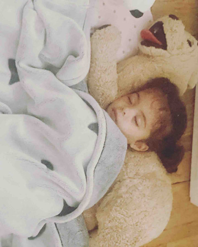 Photo of Tree House Child Care Daycare - Glendale, CA