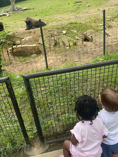 Photo of Tracey’s Daycare - Danbury, CT