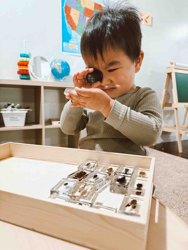 Photo of MASTERMINDS Daycare - Tigard, OR