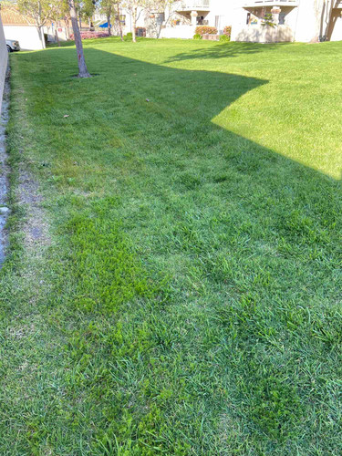 Photo of Forest Blossom Montessori Childcare - Lake Forest, CA