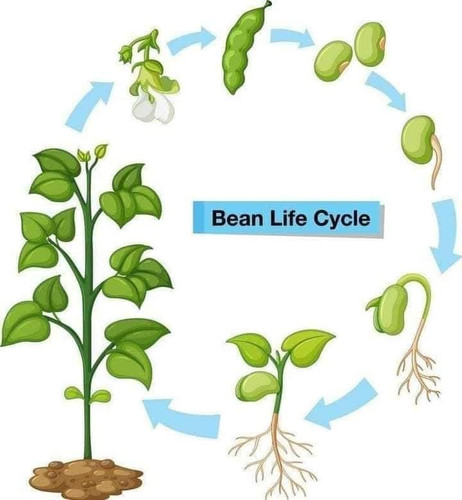 Photo of Little Stars Davoian Family Daycare - Glendale, CA