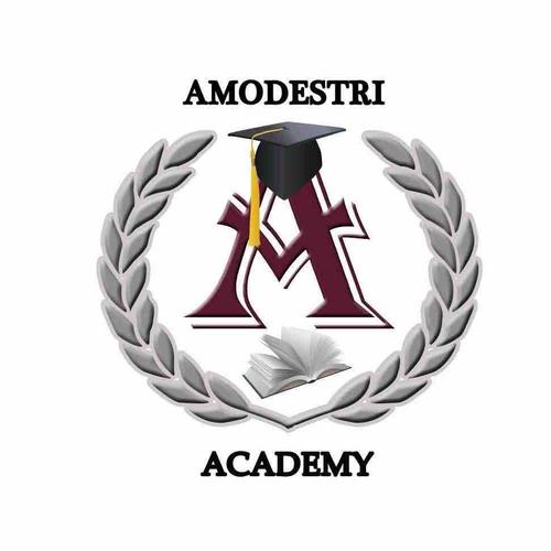 Photo of Amodestri Academy