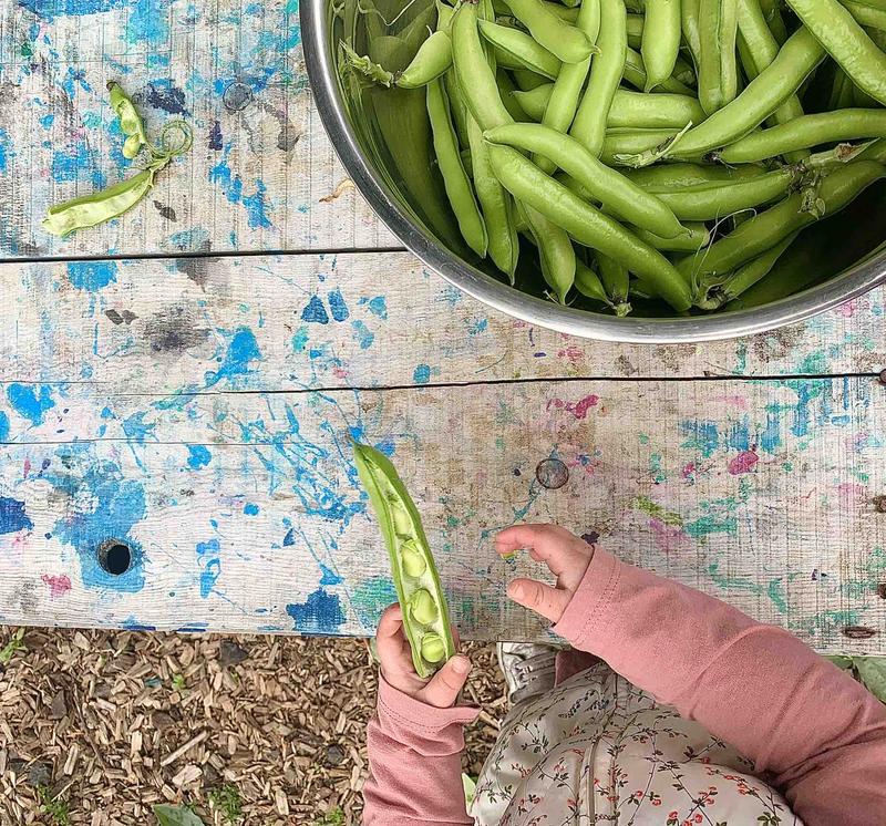 Photo of Caty’s House Daycare - Rohnert Park, CA