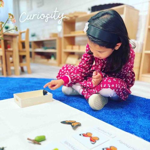 Photo of Imagine Montessori Bilingual Preschool - San Diego, CA