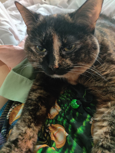 Photo of Lauren W. - North Bend, WA