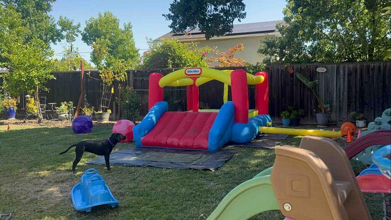 Photo of Apple Tree  Montessori Home Preschool & Childcare - San Jose, CA