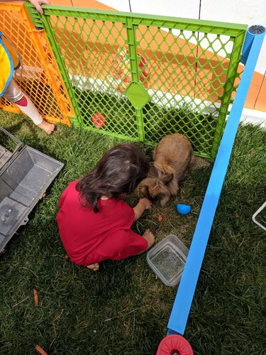 Photo of Villalba Fcc Aka Lots Of Love Daycare - Santa Barbara, CA