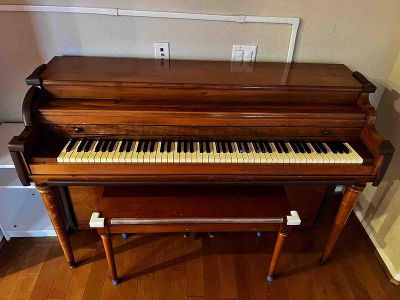 Photo of Baby Flower Daycare