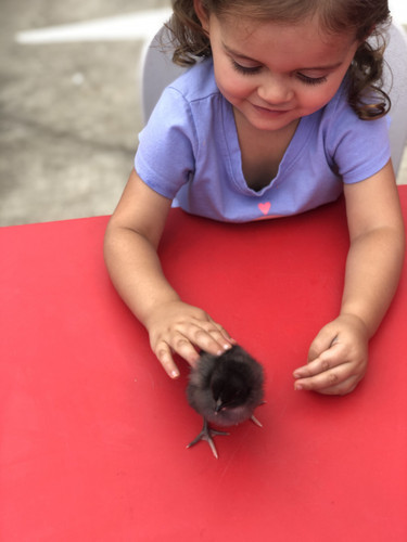 Photo of Crafty Kidos Daycare - San Jose, CA